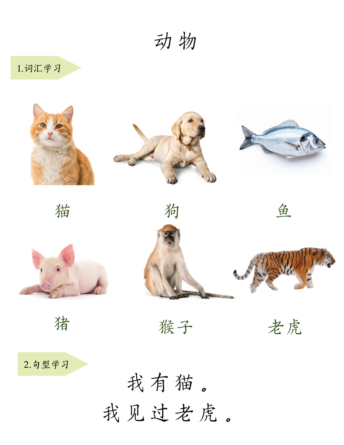 动物（二）教材整页预览