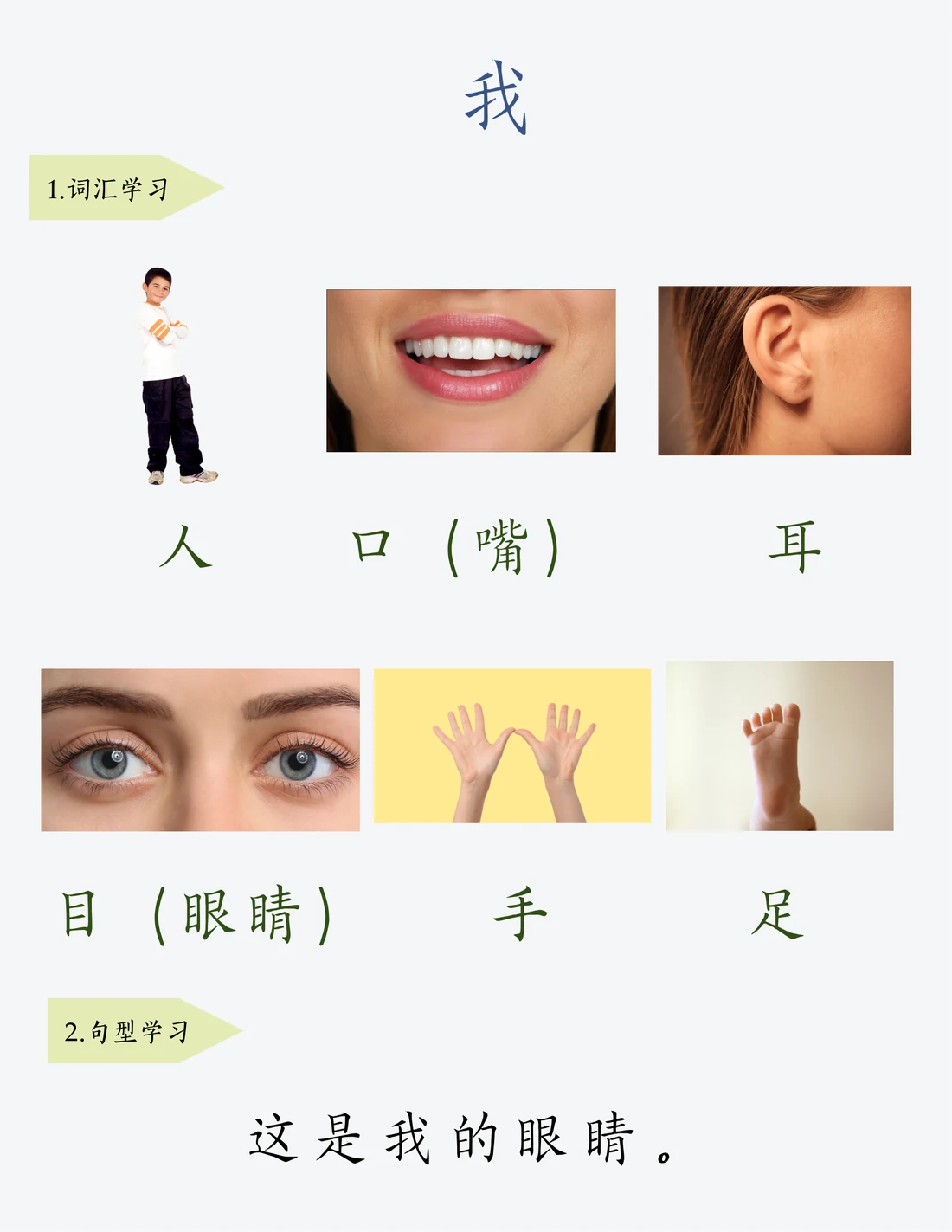 身体教材整页预览