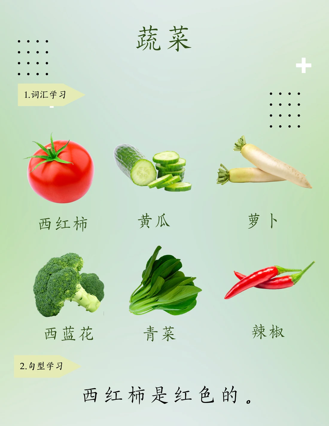 蔬菜教材整页预览